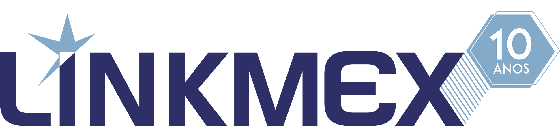 Logo Linkmex 10 anos PNG