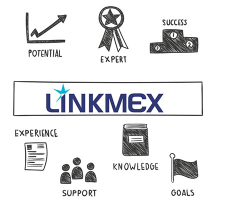 consultoria Linkmex para start up