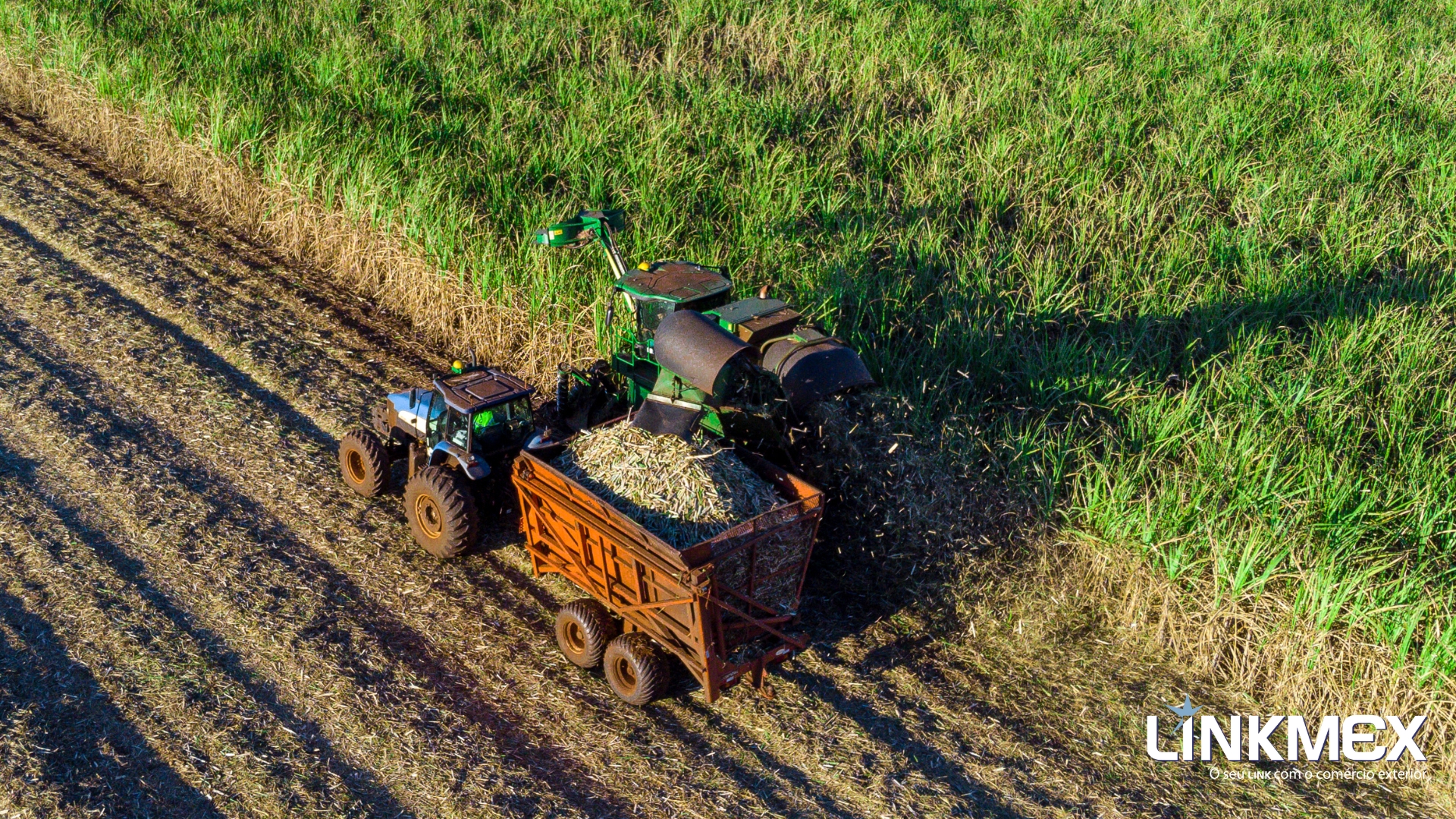 Conheça as vantagens da importação para o agronegócio